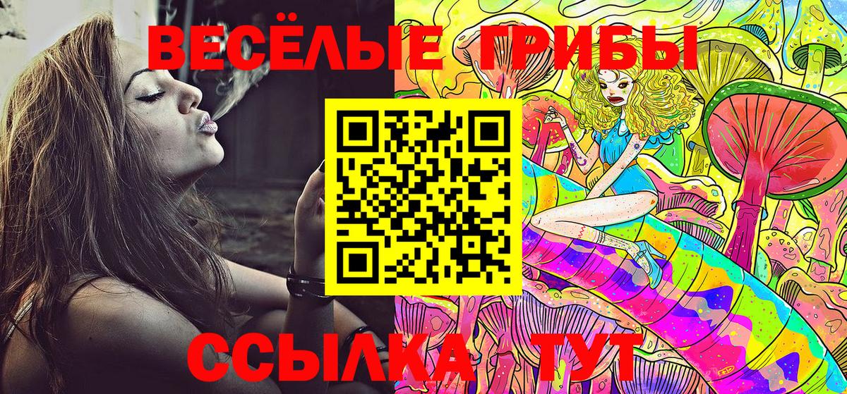 Псилоцибиновые грибы Psilocybe  Вход с VPN  Славгород 