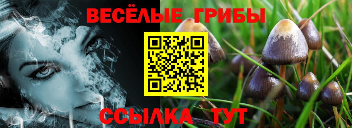 Галлюциногенные грибы MAGIC MUSHROOMS Славгород